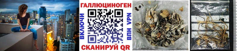 Галлюциногенные грибы Cubensis  купить  цена  Почеп 