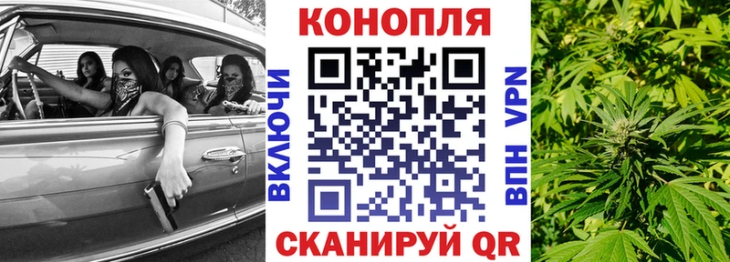 Конопля марихуана  купить наркотики сайты  Почеп 